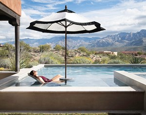 Image for Destination In-pool Lounger with Table