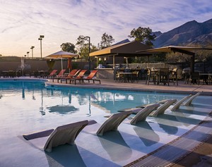 Image for Commercial Pool Loungers At Sunset