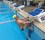 Thumbnail for Backstroke Ledge with Swimmer