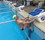 Backstroke Ledge with Swimmer Thumbnail for Backstroke Ledge with Swimmer