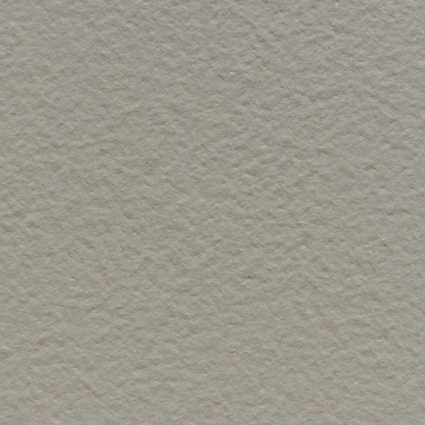 Thumbnail for Silver Gray